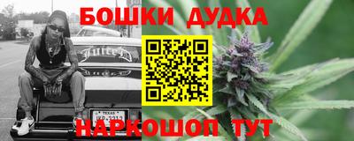 индика Апшеронск