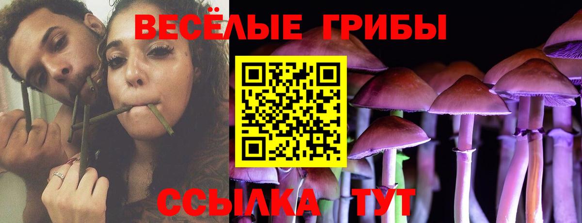 Псилоцибиновые грибы мухоморы Бердск
